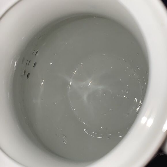 Haviland Limoge Antique Coffee Tea Pot Wedding Ring Pattern 9.25" H x 9" Width - Picture 6 of 13